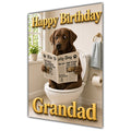 Happy Birthday Grandad Funny Dog Toilet Labrador Greeting Card A5