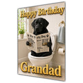 Happy Birthday Grandad Funny Dog Toilet Black Labrador Greeting Card A5