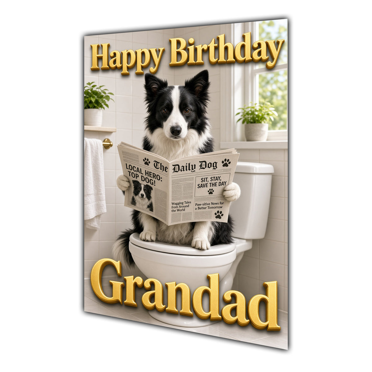 Happy Birthday Grandad Funny Dog Toilet Border Collie Greeting Card A5
