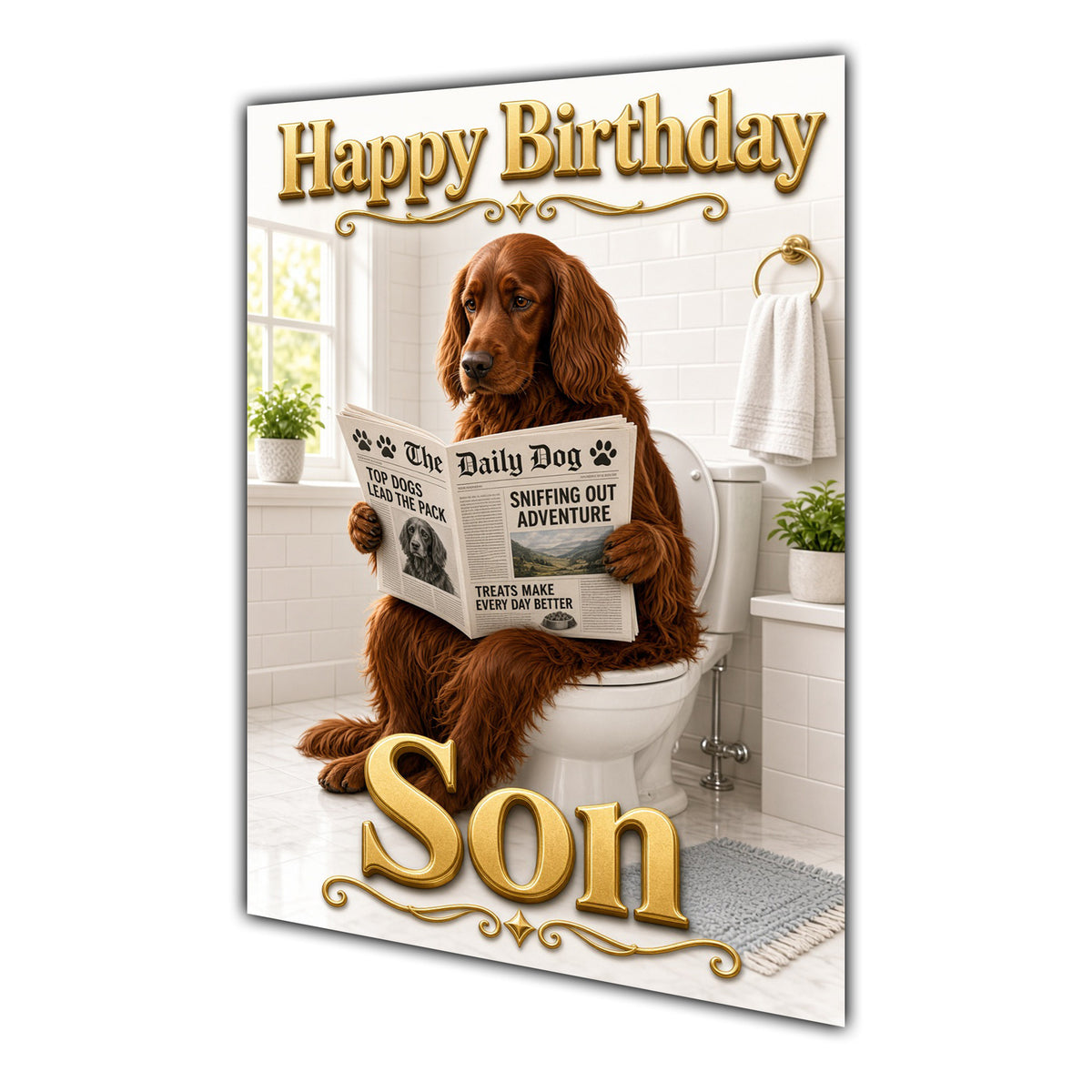 Happy Birthday Son Funny Irish Red Setter Dog Toilet Greeting Card A5