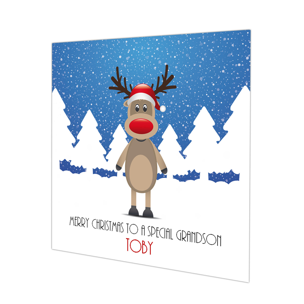 Personalised Christmas Card - Reindeer in Blue Snow Scene