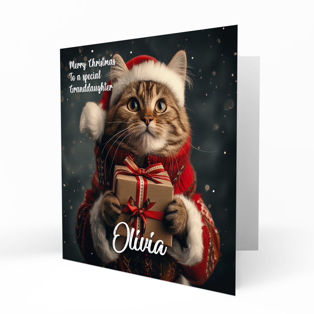 Personalised Christmas Card - Cat in Santa Hat Holding Present