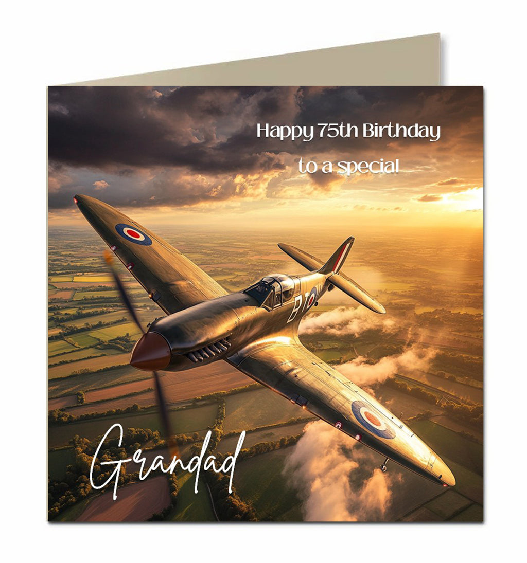Personalised Birthday Card - Vintage Fighter Aircraft