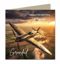 Personalised Birthday Card - Vintage Fighter Aircraft
